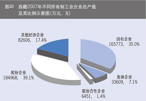 西藏经济社会发展报告\(5\)