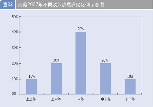 西藏经济社会发展报告\(5\)