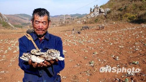 中国近七千万亩耕地受旱 旱情仍呈发展态势