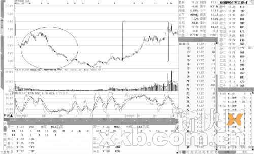 低价题材迷孙慧明选股技巧堪比基金