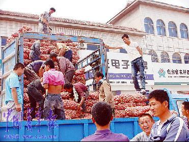 多空对赌疯狂大蒜 多种农产品被定位为期货