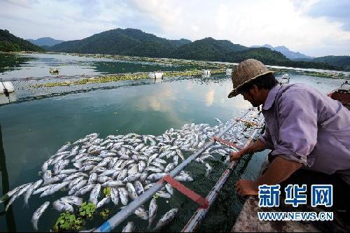 紫金矿业今日成功堵截一起污水渗漏(3)