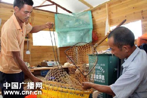 紫金矿业污染致汀江生态危机 上下游产业链也遭破坏