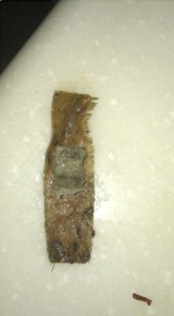 思念公司称已派人调查