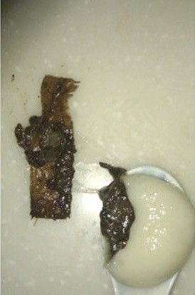 思念公司称已派人调查