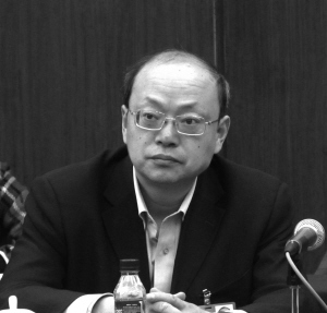余辉委员：规范文物和艺术品鉴定活动