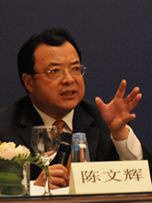 陈文辉：应该在处理好政府和市场关系方面下大工夫