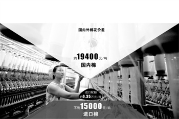 棉花进口配额被爆炒 纺织企业越产越
