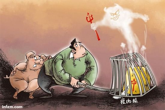 湖南株洲曾现含瘦肉精“健美牛” 引发食物中毒