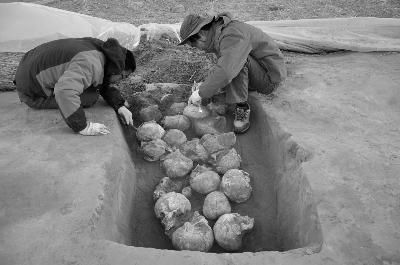 考古工作人员在遗址现场清理人头骨