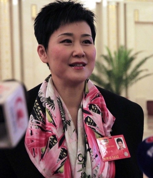 全国政协委员、中国电力国际有限公司党组书记、董事长李小琳
