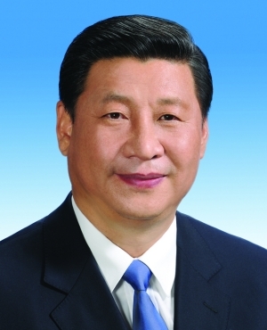 习近平当选国家主席中央军委主席张德江当选全国人大常委会委员长