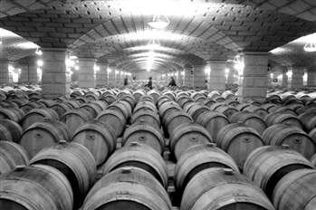 商务部对欧盟进口葡萄酒启动双反调查