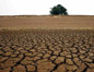 干旱全球蔓延 农产品期货看涨