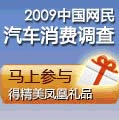 2009中国网民汽车消费调查