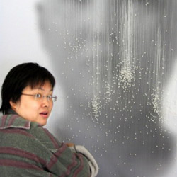 2009艺术财经权力榜候选艺术家：林天苗