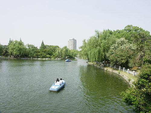 大宁公园婚纱照
