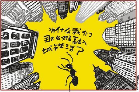 蚁族_蚁族收入