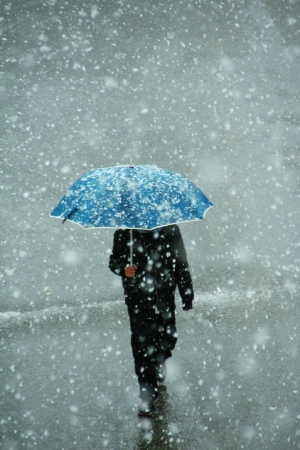 北方现大范围降温雨雪天气 商务部启动必需品日报监测