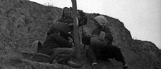 40年代饥荒:真实版的吃树皮[组图]