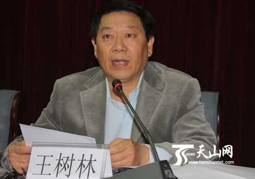 自治区安全厅副厅长,新疆法学会理事王树林发言.