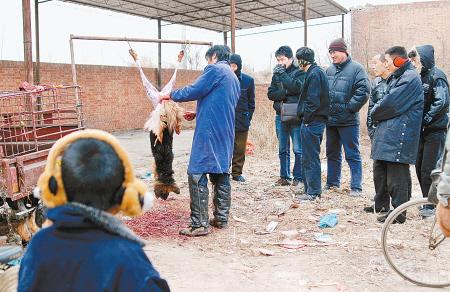 商贩市场杀狗现场引小孩围观图