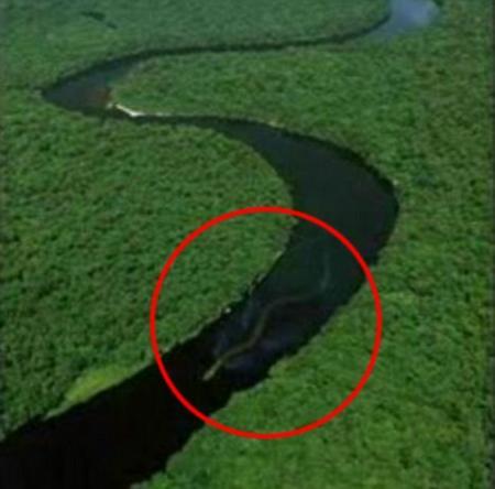 马来西亚巴勒河发现100英尺长的神秘水蛇在河流另一处拍摄到的巨蛇