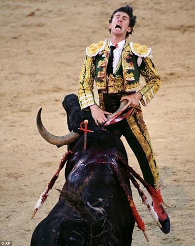 西班牙斗牛士被牛角扎8英寸伤口险些丧命组图