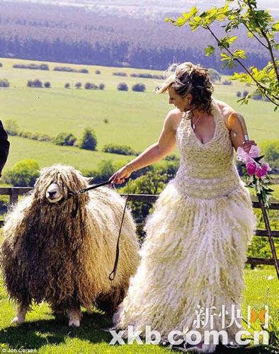 英国牧羊女亲手制作羊毛婚纱办羊主题婚礼