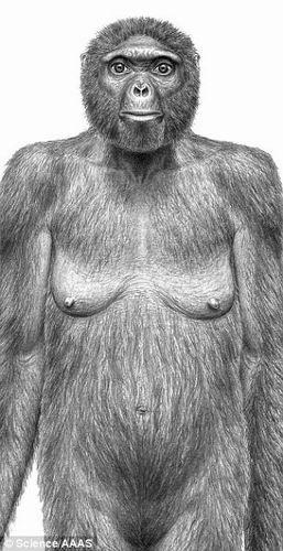 科学家发现最早人类祖先 距今440万年[组图]